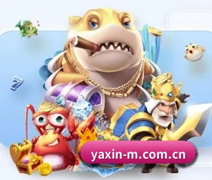 关于我们 - 体育资讯内容服务（yaxin）