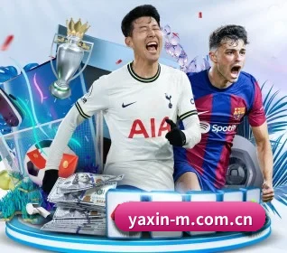 用专业与真诚服务用户（yaxin）